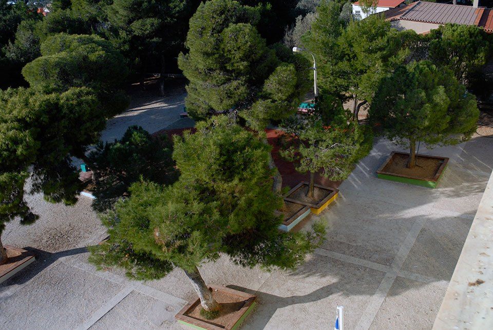 015_Dimotiko_Sxoleio_Agias_Marinas_Neas_Makris